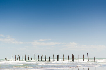 old pier poles on the beach