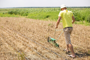 Seeding woth manual seeder. Growing cover crops.