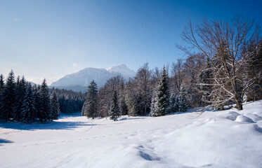 Snowy landscape with mountain panorama at the Bavarian Alps at a recreation area with forest and trekking path on sunny day