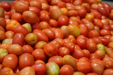 Bunches of ripe red tomatoes laying in a fruit box ready for sale at farmers market. Tomato with tails background. Closeup shot of a bunch of red ripe tomatoes.