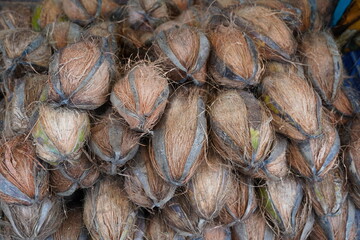 Pile of coconuts in the food market of India. Group of small whole fresh brown coconuts on retail market, close up, high angle view. Heap of many coconuts in organic farm. Coconuts in Indian market.