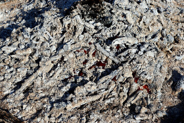 Fire and ash, ash cools down