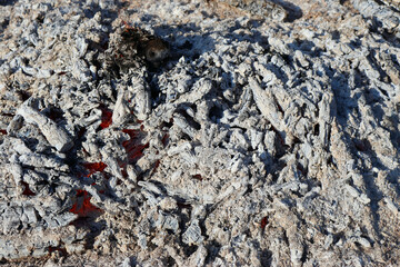 Fire and ash, ash cools down
