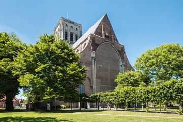 Fototapeta na wymiar The Great or Saint Catherine's Church in Den Briel, Zuid-Holland province, The Netherlands