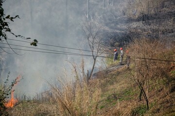 Fire on the side of the Dutra highway causes traffic slowdown, firefighters put out the fire.
