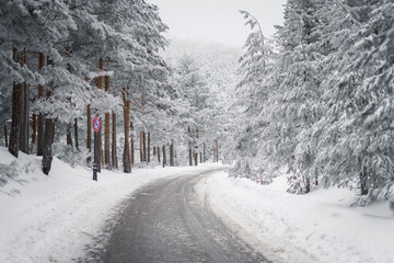 Snow