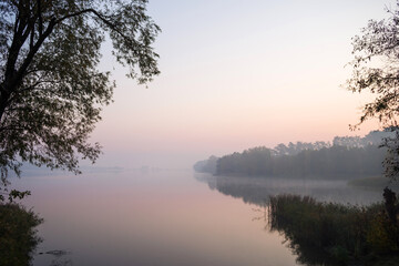 Foggy sunrise on the lake. Reeds and forest are reflected in the surface of the lake.