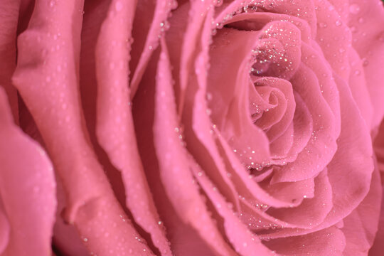 F7npqyxw7g11jm