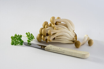 Shimeji brown beech mushrooms close-up