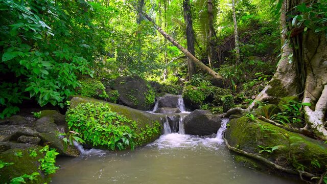 Waterfalls beautiful nature video 4K. Nature video Motion time-lapse nature waterfall in rain forest Shot on Gimbal high quality smooth movement beautiful. Nature and travel concept.
