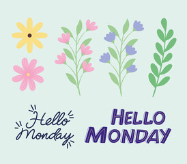 Obraz premium hello monday and flowers