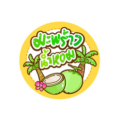 Coconut on White Background Vector