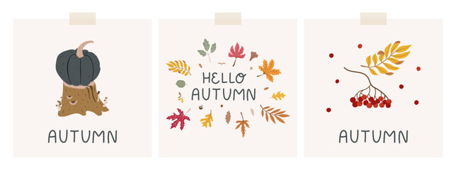 Set of autumn mood cards with doodle drawings. Illustrations of tree stump, pumpkin, fallen colorful leaves, branch of rowan berries. Cute hand-drawn cards, prints.
