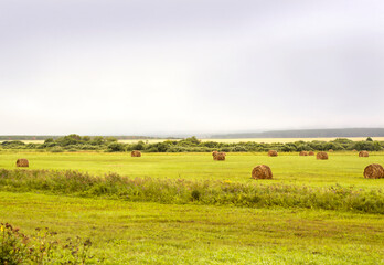 a field with haystacks on a cloudy day