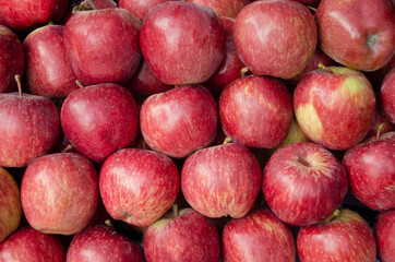 Fresh Red apples in rows for texture or background.