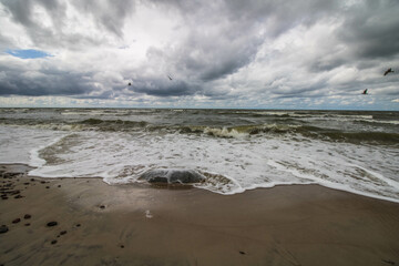 beach and sea