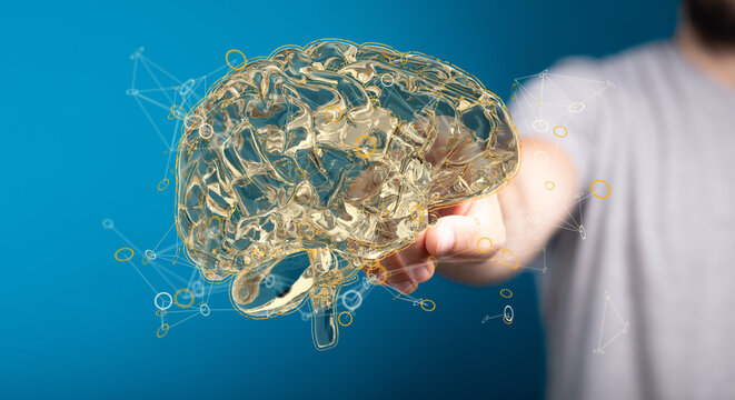 Creative background, the human brain on a blue background, the hemisphere