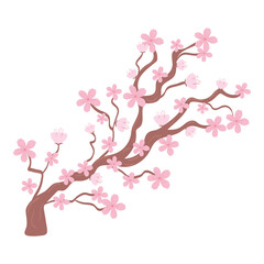 branch of cherry blossoms