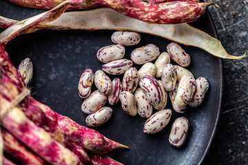 Cranberry beans. Beans pods