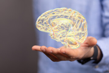 Creative background, the human brain on a blue background, the hemisphere