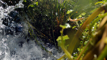 agua rio debaixo agua, rochas