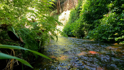 agua rio debaixo agua, rochas