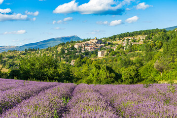 Blooming lavender fields and village of Aurel in background in Vaucluse, Provence-Alpes-Cote d'Azur, France - 451666420
