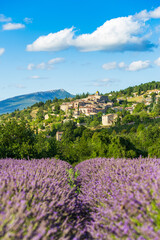 Blooming lavender fields and village of Aurel in background in Vaucluse, Provence-Alpes-Cote d'Azur, France
