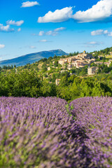Blooming lavender fields and village of Aurel in background in Vaucluse, Provence-Alpes-Cote d'Azur, France - 451666494