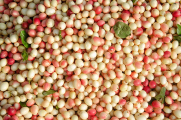 Fresh ripe gooseberry for increasing the taste of food. Also uses for background or texture.