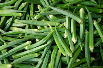 Green lady fingers in large quantity. Also uses for background or texture.
