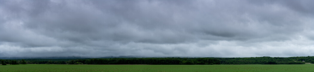 Obraz na płótnie Canvas Panorama of a agriculture setting with a green field, trees in the midground and grey-blue clouds. 
