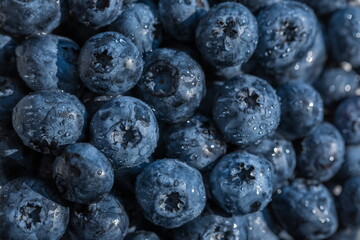 Blueberry berries with water drops close-up