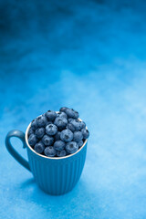 Blueberries in a mug on a blue background