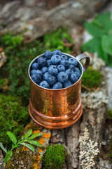 Vaccinium uliginosum berries in a copper mug on a natural forest background. Food, fruits and berries idea