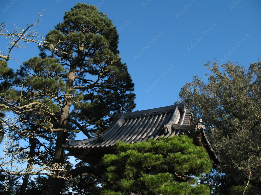 Poster japanese garden in the park