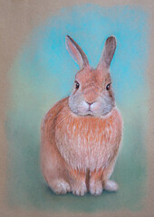 Cute orange rabbit drawing pastel for printing on fabric and paper
