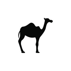 Camel vector png icon isolated on white background