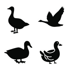 Collection of duck goose silhouette vector png.