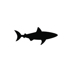 Shark icon vector png isolated on white background