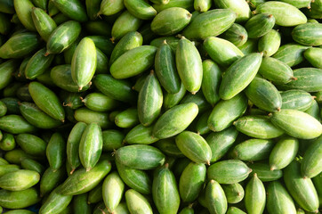 Green pointed gourds vegetable. Also uses for background or texture.