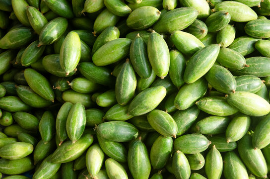 Green pointed gourds vegetable. Also uses for background or texture.