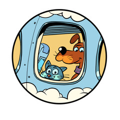 pet friendly plane. Departure from the airport animals on board. Travel and tourism