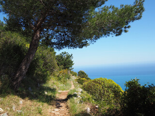 chemin pittoresque au dessus de la C&ocirc;te d'Azur - France