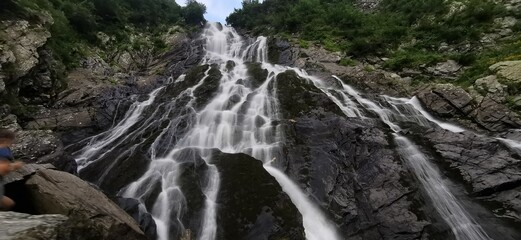 waterfall in the forest