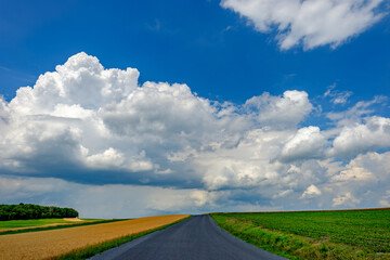 Highway rolling through fields of fresh grown wheat under an amazing summer and cloud filled sky.