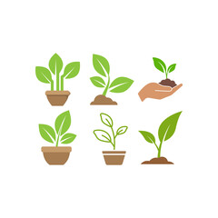 Fototapeta na wymiar Green sprout plant icon set design illustration template
