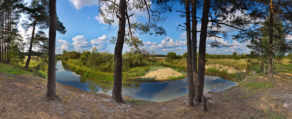 Panoramic landscape with pine trees and river