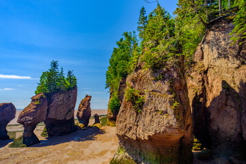 Low tide on the Bay of Fundy exposes the rocks sand and the arches of the flowerpots