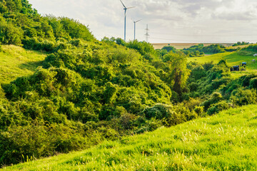 Schluchtbachtal in der Zülpicher  Börde bei Bürvenich